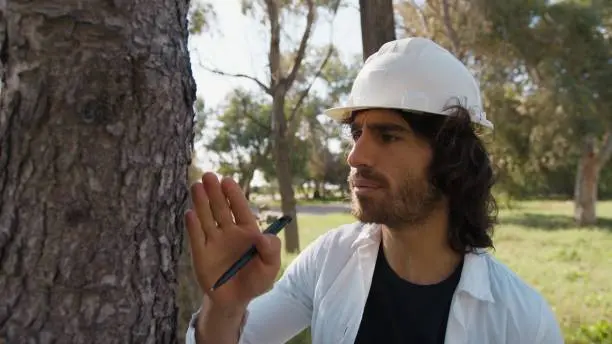 Équipe arboricole en action