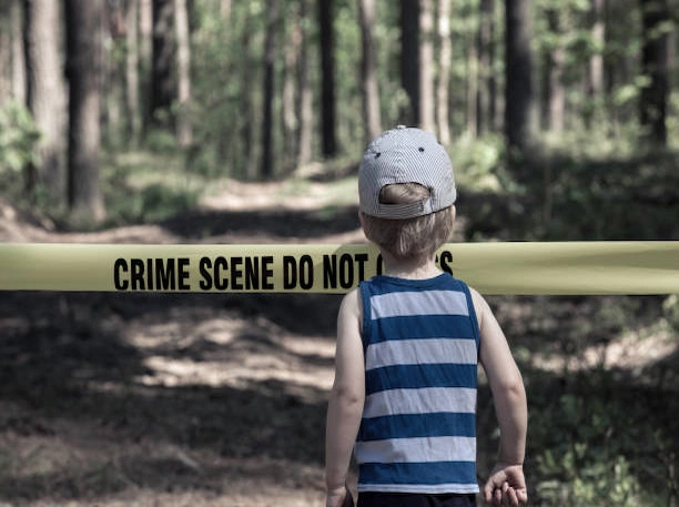 Couper un arbre sans permis