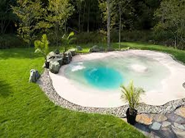 plantation d'arbres près d'une piscine