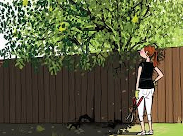 planification elagage annuel