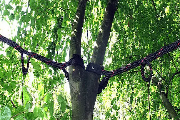Haubanage d’un arbre fendu à l’aide de câbles professionnels