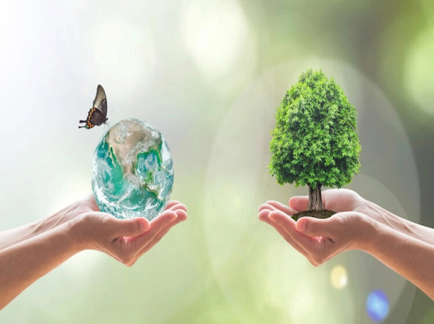 arbre et biodiversité