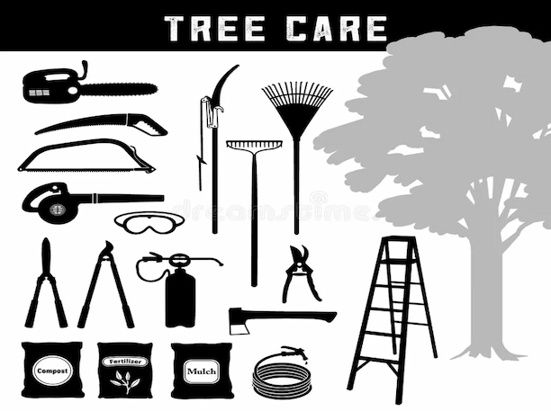 Les maladies les plus courantes chez les arbres du Québec