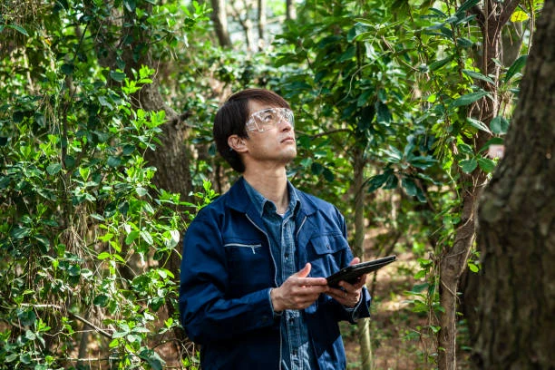 Rapport d’évaluation avec photos et diagnostic