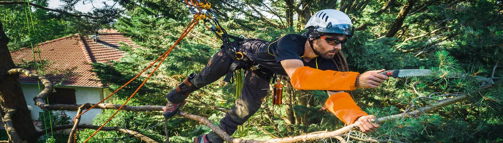 Foire aux questions arboricoles – Élagage Unique