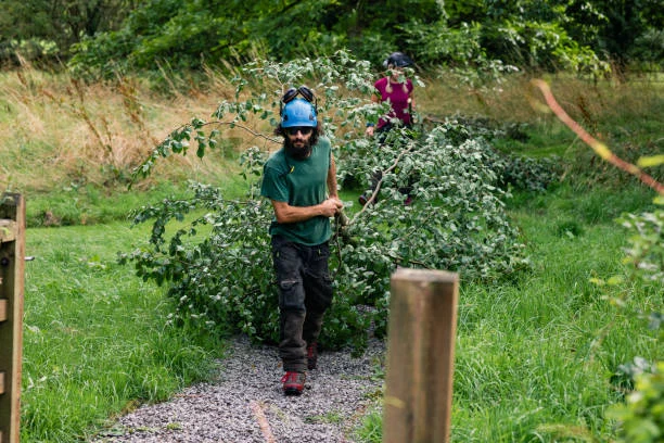 Boisé privé entretenu avec sentier dégagé