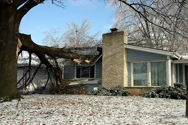 Arbre tombé sur une maison après tempête