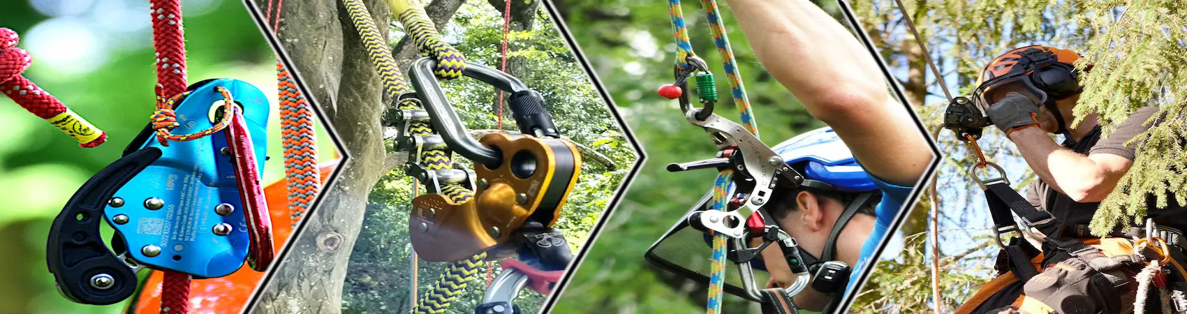 L’équipe d’Élagage Unique en intervention