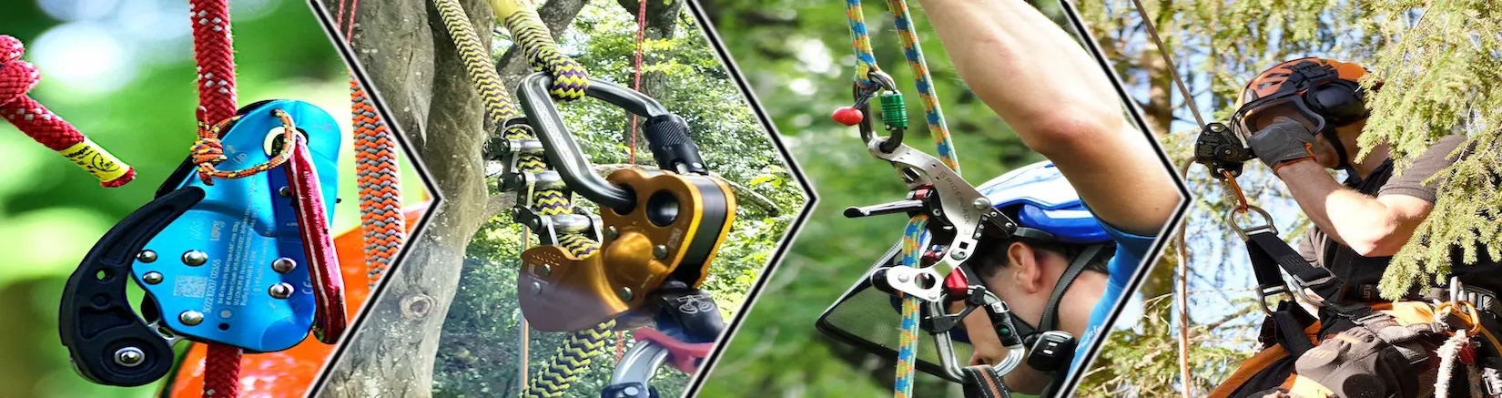 L’équipe d’Élagage Unique en action