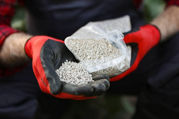 Technicien effectuant un soin automnal