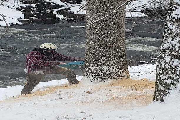 Travail d’arboriculture à Ange-Gardien près d’une haie
