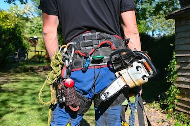Élagage dans un quartier boisé de Saint-Césaire